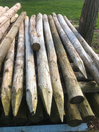 Used Fence Posts