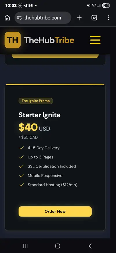⚡ Professional Website in 24 Hours – $40 Starter Special!, View more