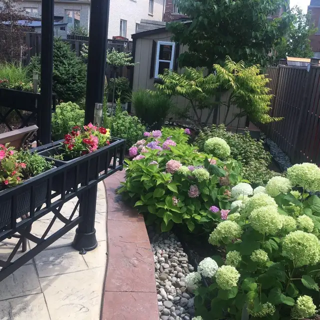 Landscaping  GTA✅ Full clean up