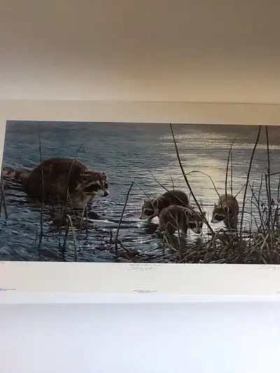 Limited edition print 513/1500 Please see our other prints!