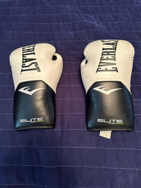 Everlast Boxing Gloves