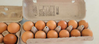 Oeuf de fermette locale/ free range eggs
