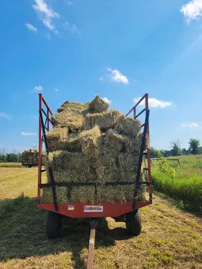 Hay - small square bales, View more