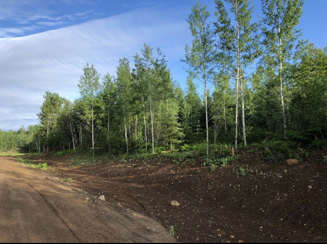 Close to town lot on Red Pineway in Land for Sale in Thunder Bay - Image 3