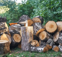 FREE CAMPFIRE PINE LOGS DELIVERED read ad