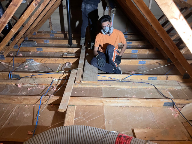 Insulation removal  in Insulation in City of Toronto - Image 3