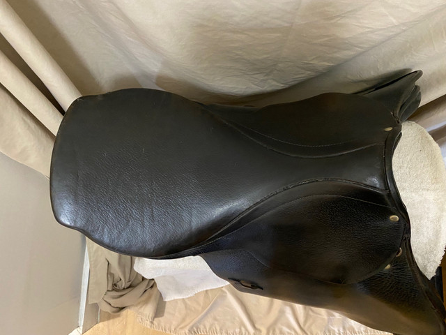 17” Don Rodrigo English saddle for sale in Equestrian & Livestock Accessories in Penticton - Image 3