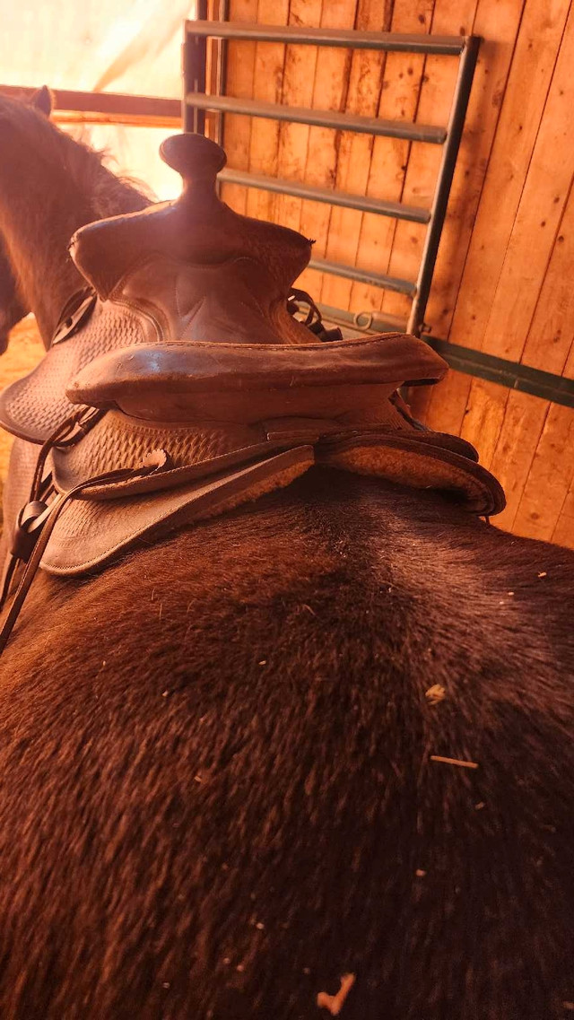 Western rawhide St Boniface 6 mansaddle in Equestrian & Livestock Accessories in Grande Prairie - Image 4
