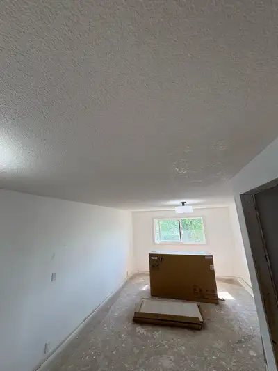 Professional Ceiling Texturing | Popcorn & Knockdown, View more