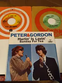 Vinyl Records 45 RPM Peter and Gordon,David and Jonathan Lot 5