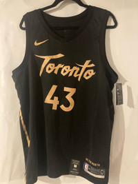 Nike Toronto Raptors Pascal Siakam Jersey 