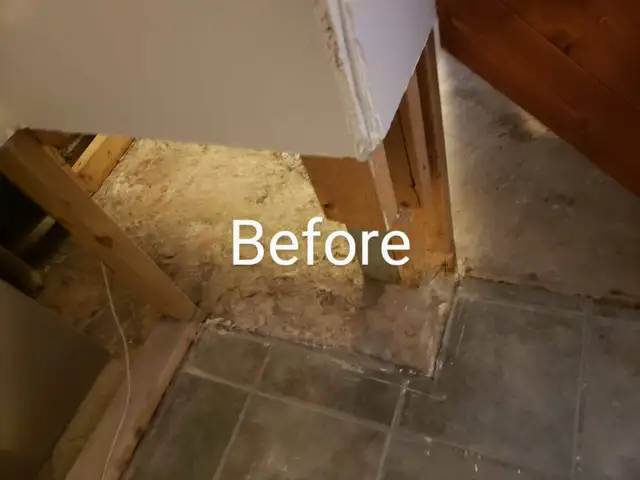House Painter475022974948495362
