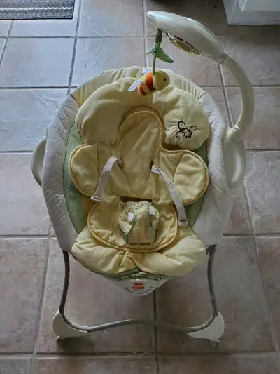 Fisher-Price Baby Papasan Infant Seat, View more