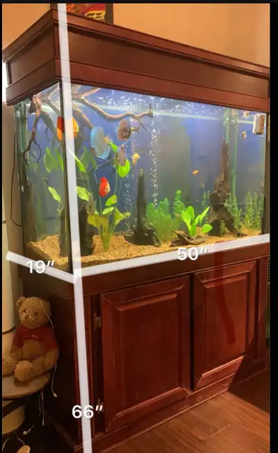 Fish tank fully equipped 110 gallon fish tank, with solid wood stand cabinet and lid. Only two owner...