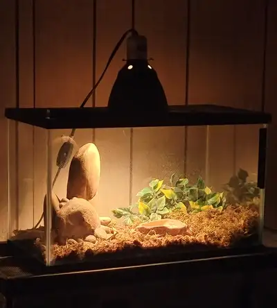 Ready-To-Go 10 Gallon, View more