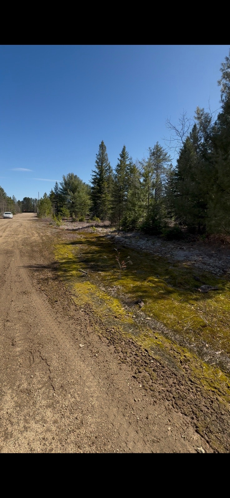 terrain st Alexis des mont — photo 1