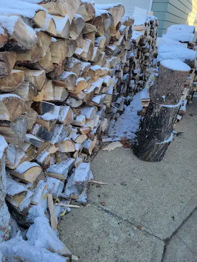 Mixed, ash, spruce, pine, maple, elm, aspen, apple, cherry.