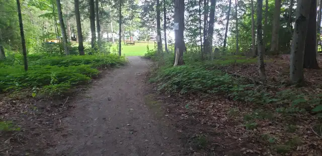 All seasons 4 bedrooms cottage on Balsam lake in Ontario in Canada - Image 10