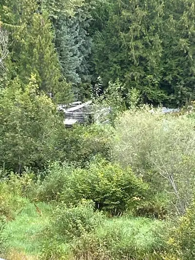 Log cabin for sale needs roof, does not come with property buyer must remove, easily accessible. Can...