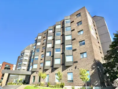 Grand Studio TOUT INCLUS dans une nouvelle construction en béton. Disponible pour occupation immédia...