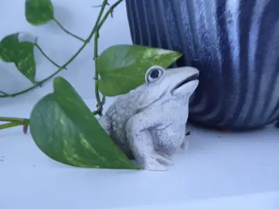Handcrafted Concrete Small Frog, View more