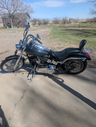 110 screaming Eagle S&S 585 cam Vance and Hines 2-1 pro pipe Thunder max tuner Barnet clutch 6speed...