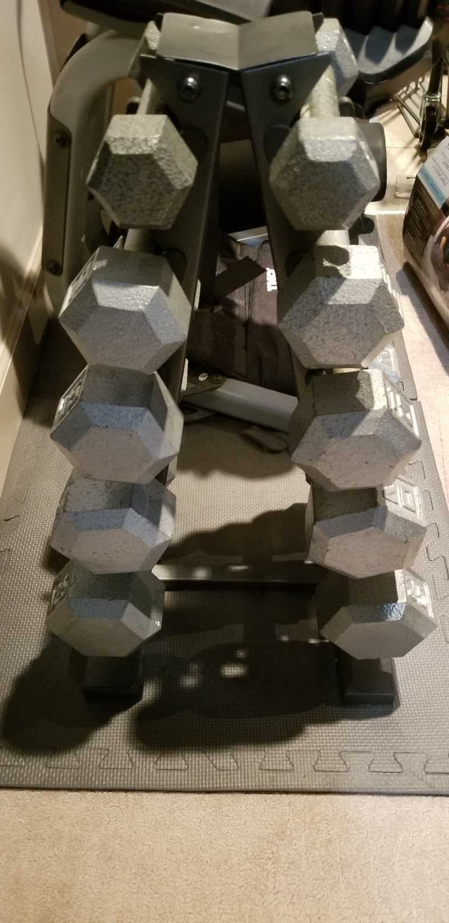 Dumbbell weights 5-25lbs with stand dans Appareils d'exercice domestique  à Ville d’Edmonton - Image 2