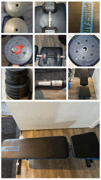 Complete Home Gym Set: Workout Bench, Weights, and Olympic Bar