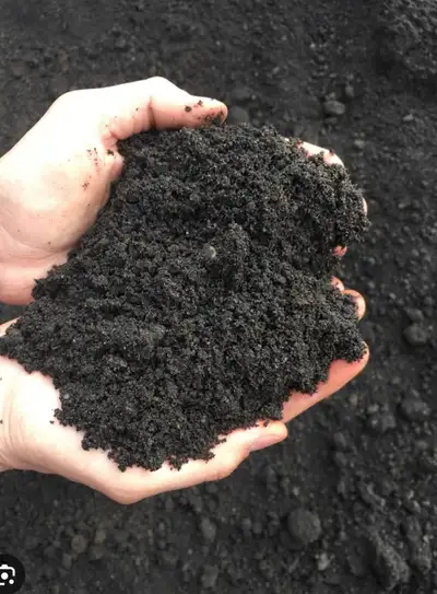 Free top soil unscreened (pickup) $7 per yard screened (pickup) Free clay or gravel dump Delivery $1...