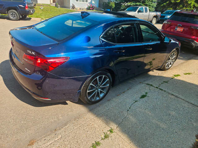 2017 Acura TLX in Cars & Trucks in Edmonton - Image 4
