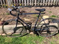 26” Raleigh Citation Bicycle ASIS