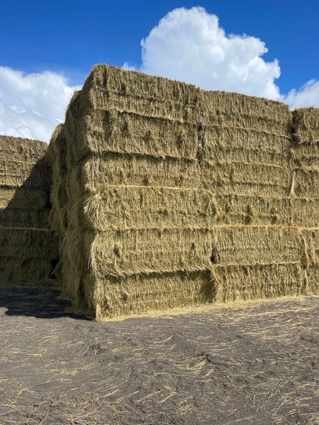 Grass Hay for sale Livestock Winnipeg Kijiji
