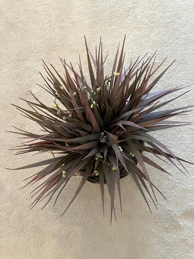New Pineapple Centrepiece in Home Décor & Accents in Calgary - Image 3