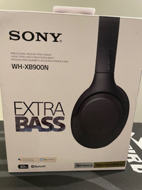 Headphones Sony WH-X900N