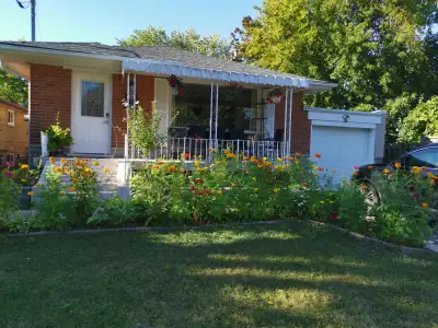Call For Rental Enquiry, 416-294-0284