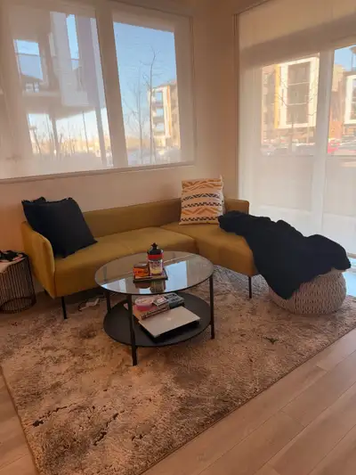 Structube Couch - 400 Ikea Table -30 Homesense rug- 50 If buying the whole setup with throw pillows...
