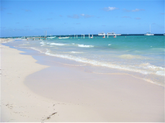 PLAYA TURQUESA O301 2Bd. Beachfront, Reduced, Punta Cana in Dominican Republic - Image 2