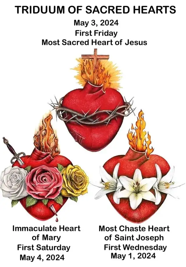 Watch "Our Lady of Fatima Novena Day 2  May 2, 2024"attitude 63804762281987122