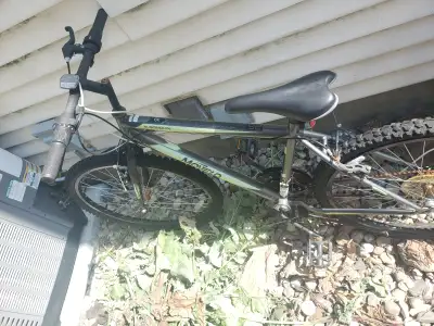 Bikes for sale, View more