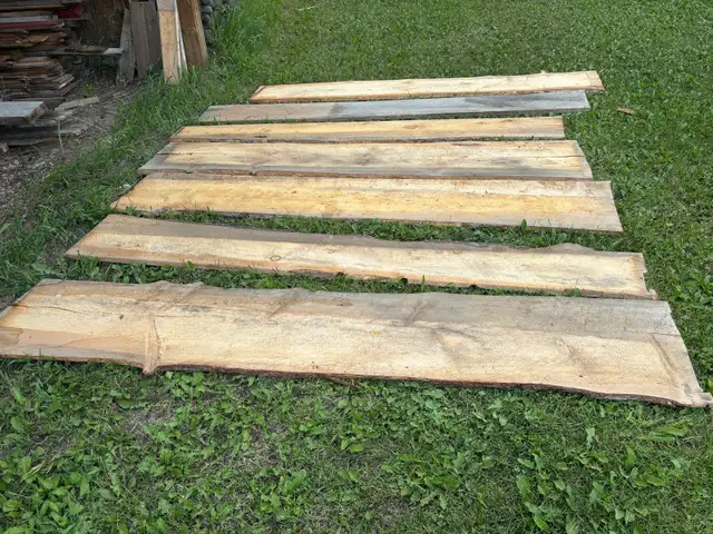Live edge spruce slabs