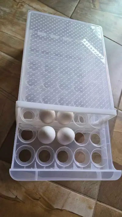Eggs holder / fridge shelf Jumbo storage (30 eggs any size), View more