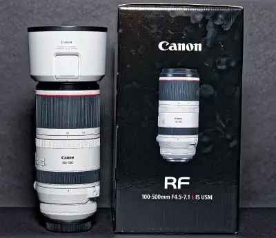 Canon objectif RF 100-500mm wildlife, View more
