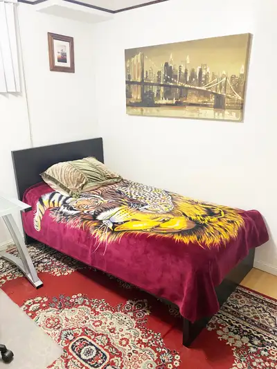 GREAT FURNISHED BACHELOR RENOVATED in BASEMENT+Separate KITCHEN+Private Washroom + Shower; Wi-Fi Hig...