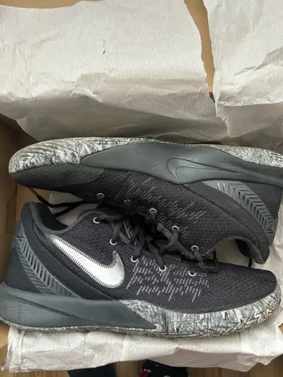 Kyrie fly trap 2, View more