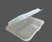 Takeout containers 9x6 