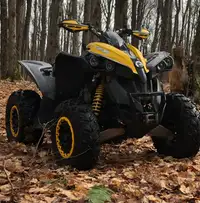 Can am renegade xxc 1000