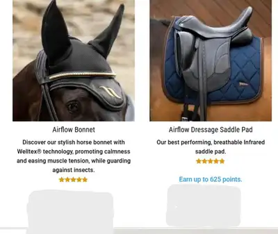 Dressage Saddle pad, Bonnet and Brush Boots for Horse$200, View more