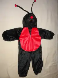 Costume Halloween Coccinelle  2-3 ans