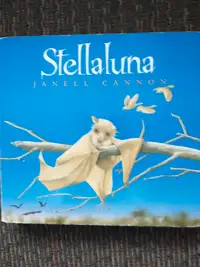 Stellaluna child's book 