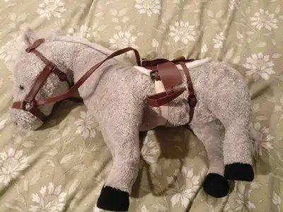Maplelea dolls kijiji sale
